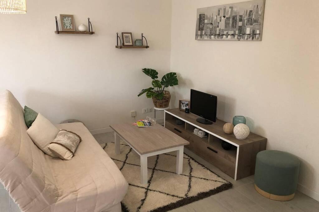 Appartement Cosy Avec Jardin A Blagnac. Kültér fotó